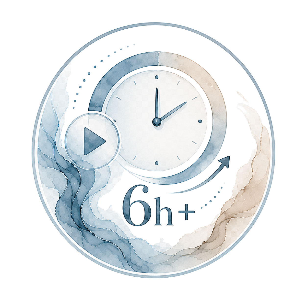 6 horas