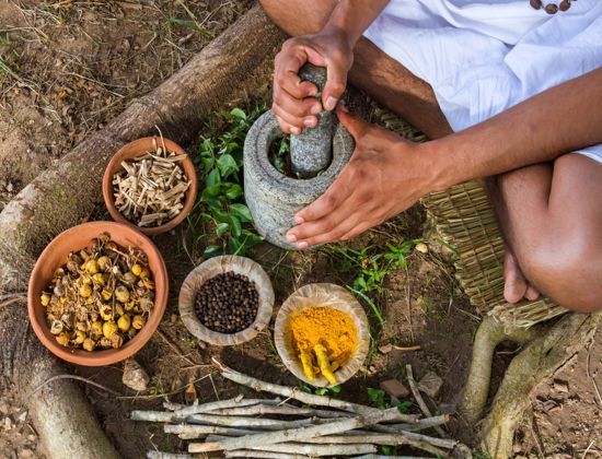 Ayurvedic herbs and spices