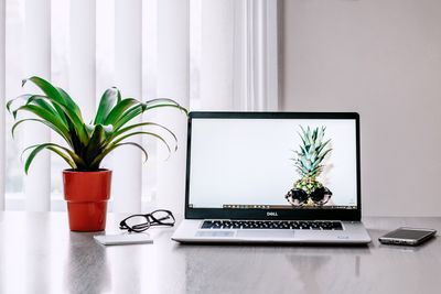 Laptop and plant on a desk