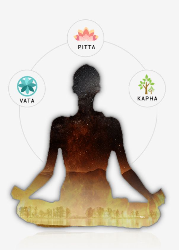 Two people discussing dosha types