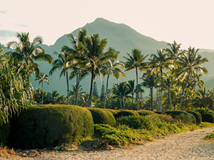 Retreats in nature