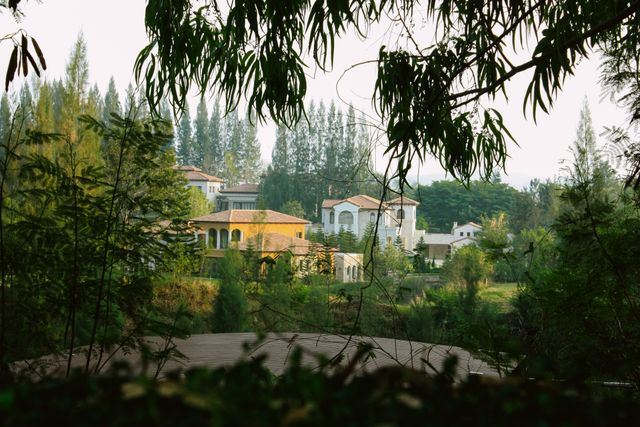Retreat villa surrounded by trees and mountains