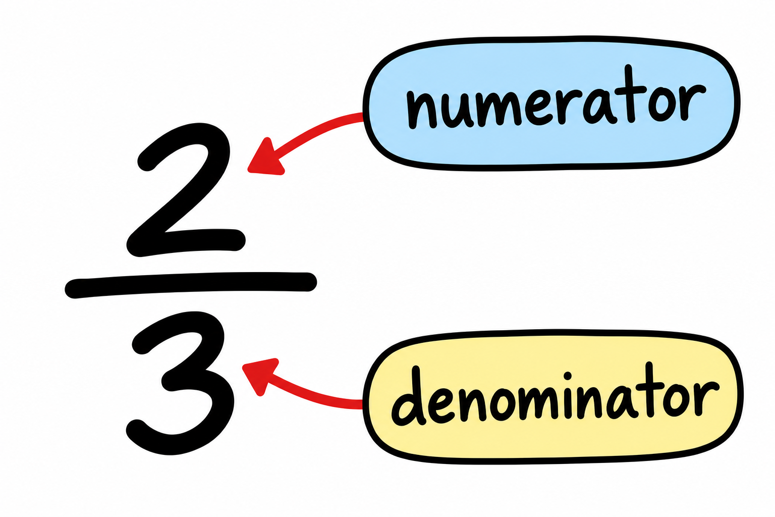 Diagram showing the numerator and denominator as parts of a fraction.
