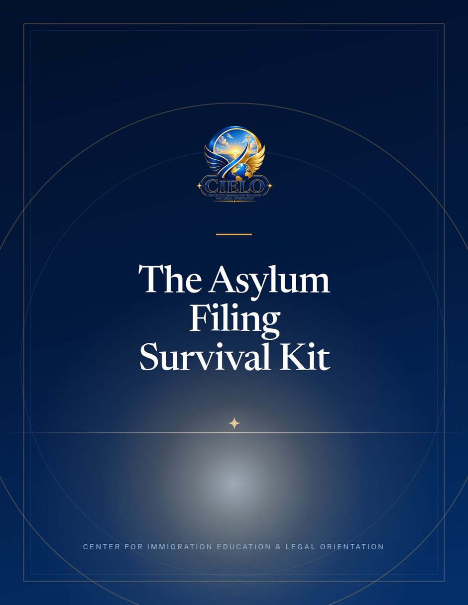 The Asylum Filing Survival Kit