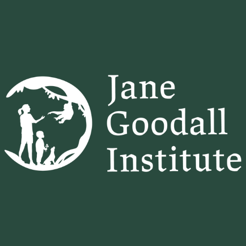 Brand Logo 7