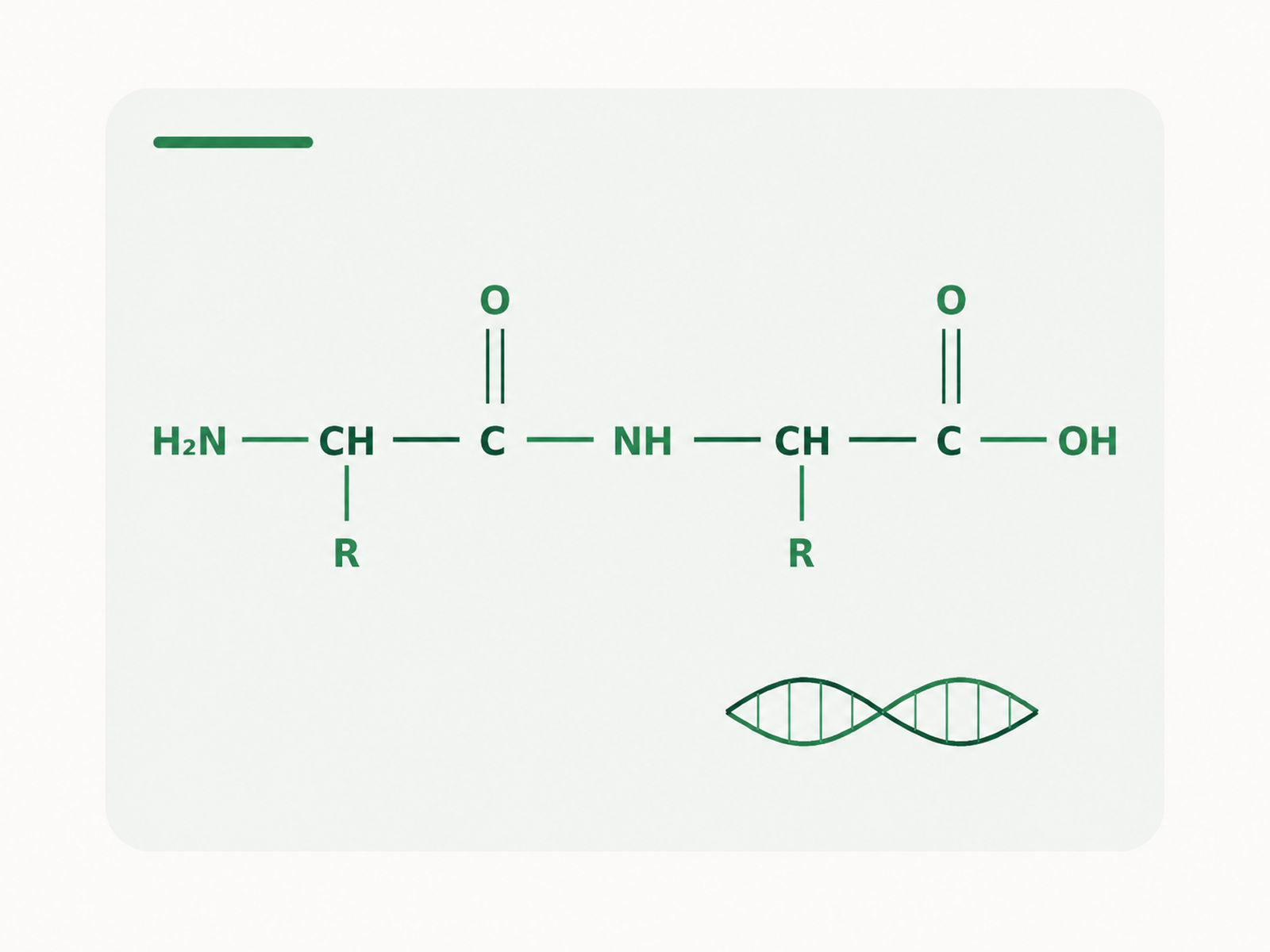 Amino acids, proteins and DNA topic image