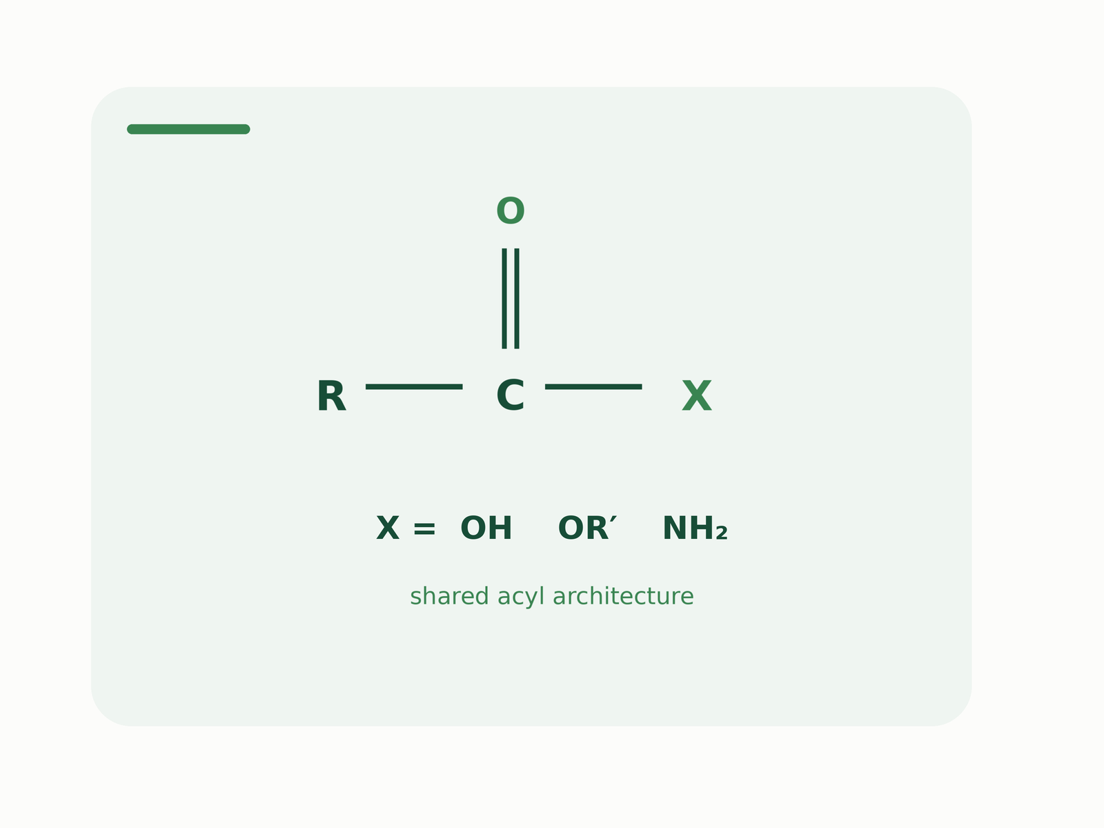 Carboxylic acids and derivatives topic image