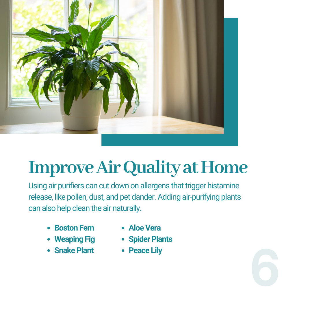 Air Quality Purifying Plants Seasonal Allergies