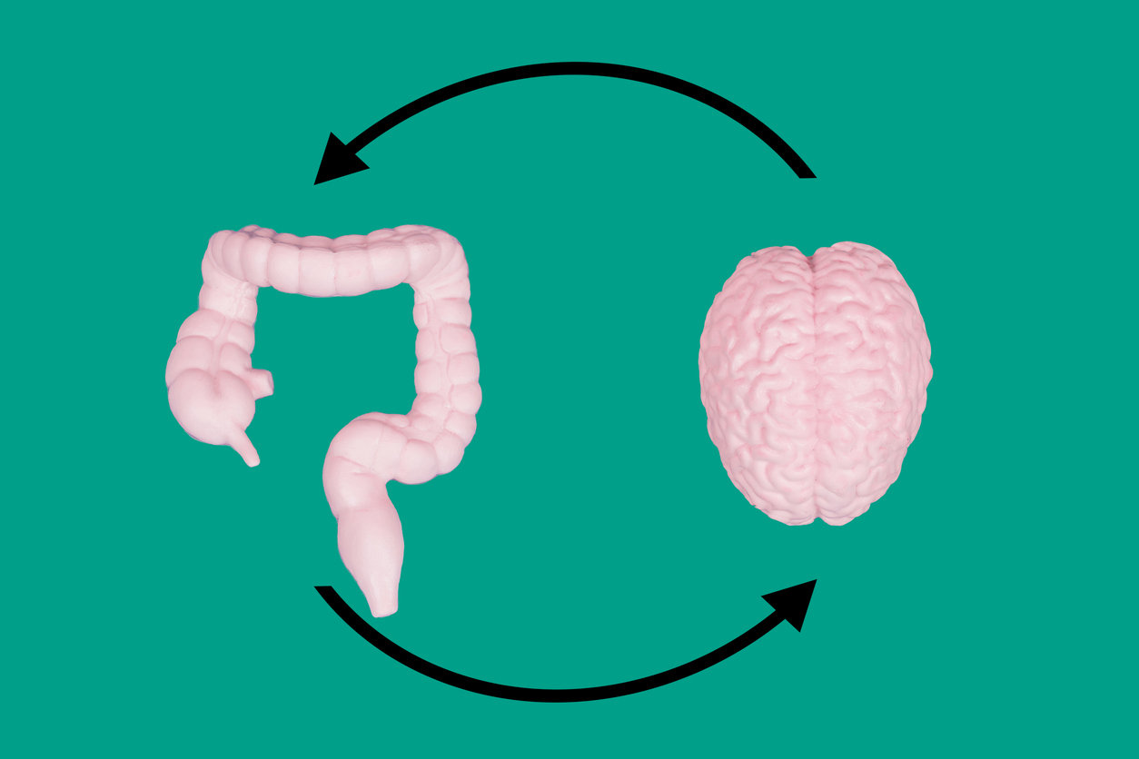 gut brain connection