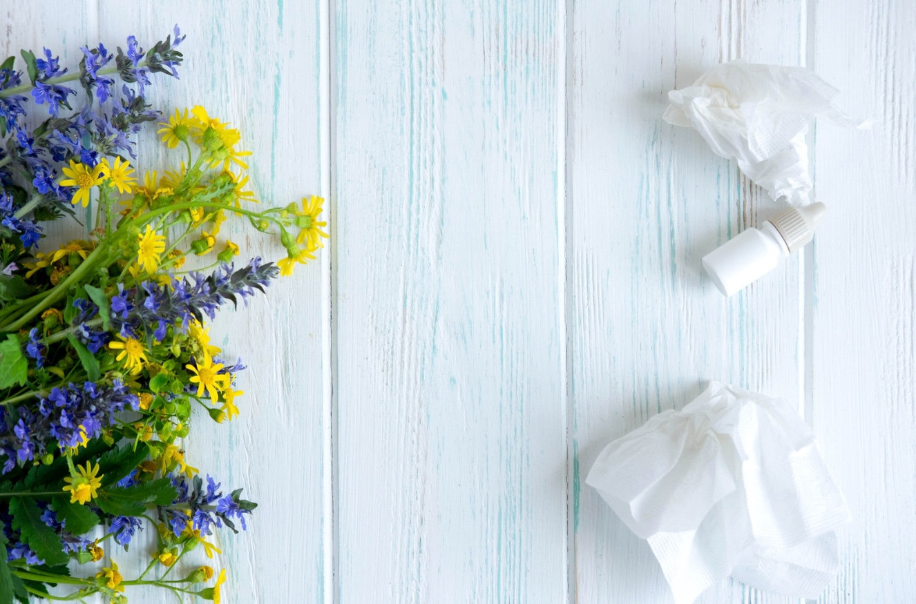 tissues allergy season allergy plants