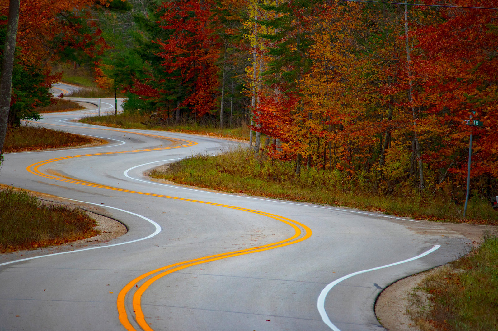 Winding road with yellow lines amidst vibrant red and orange autumn trees. Serene and picturesque forest scene.