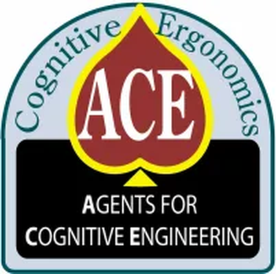 Agents for Cognitive Ergonomics, DIG Coaching Practice