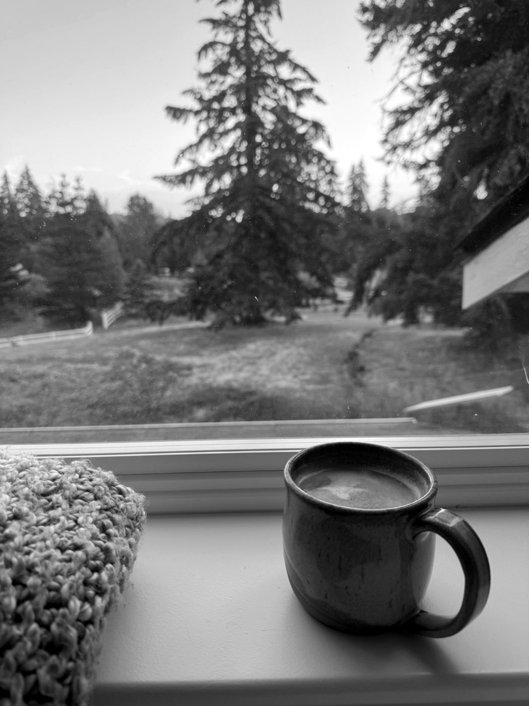 A coffee mug on a windowsill, trees outside.