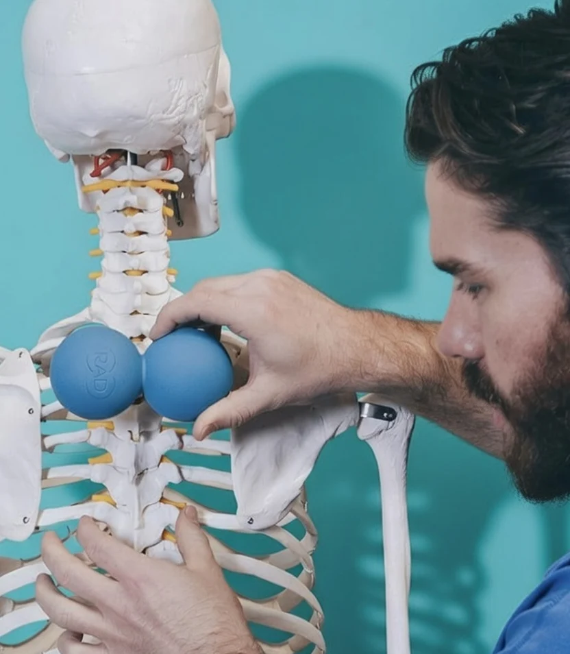 Demonstrating a RAD Roller on a skeleton spine