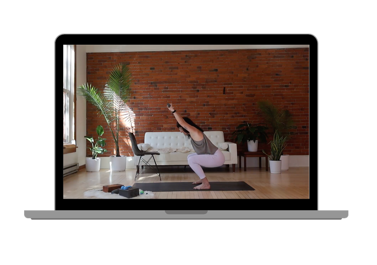 Functional Movement Assessment video