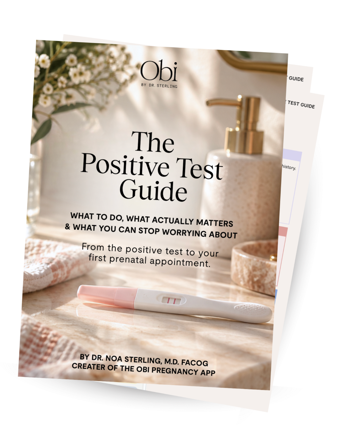 The Positive Test Guide