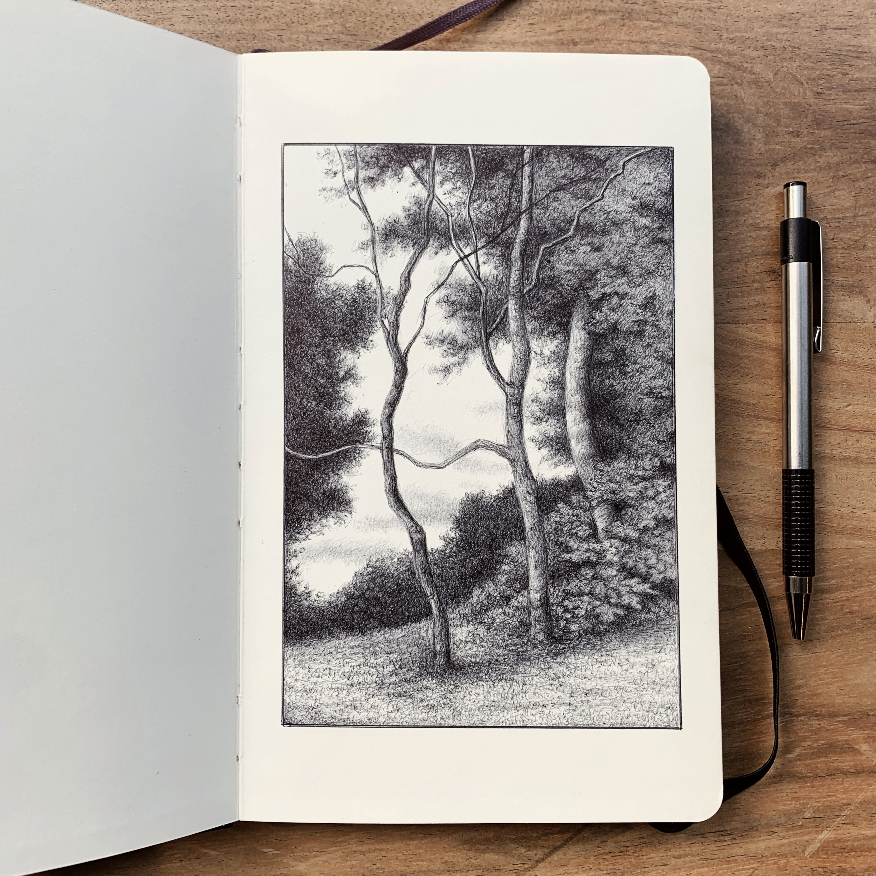 Drawing by Luis Colan