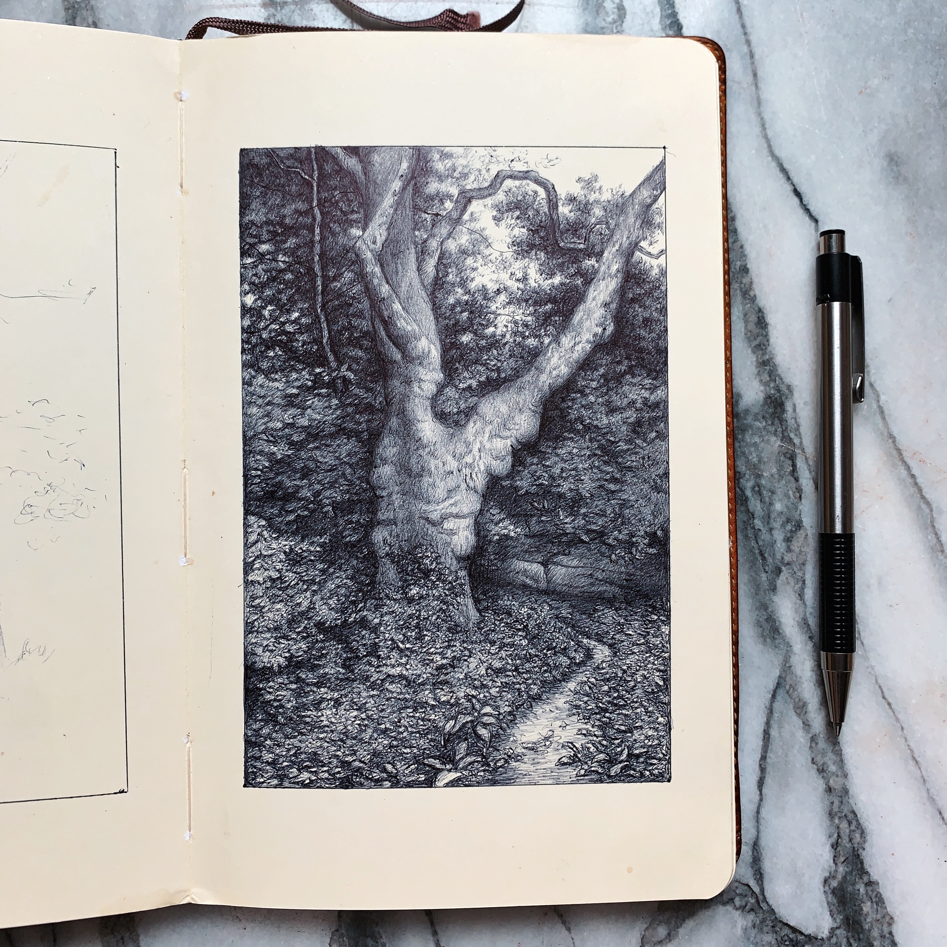 Drawing by Luis Colan