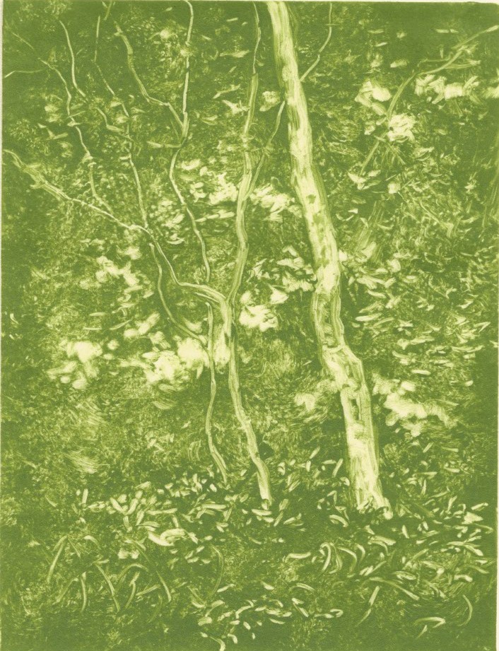 Arbolado Verde IV by Luis Colan