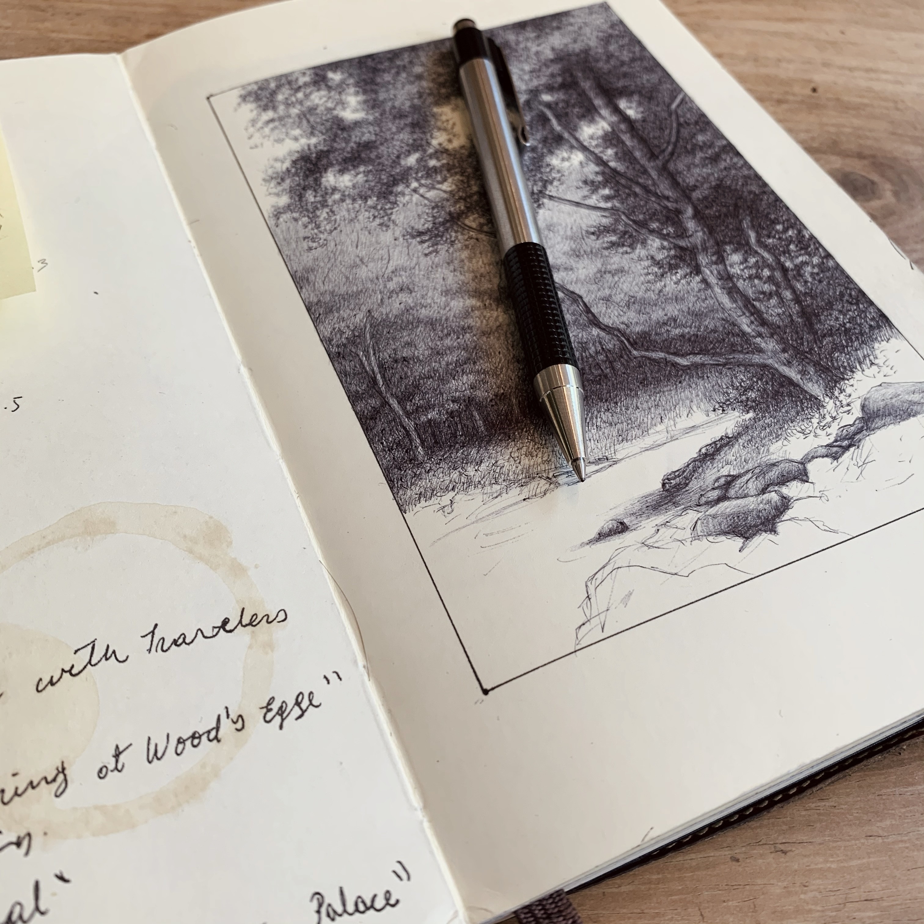 The Open Landscape: Atmosphere and Light with Ballpoint Pen