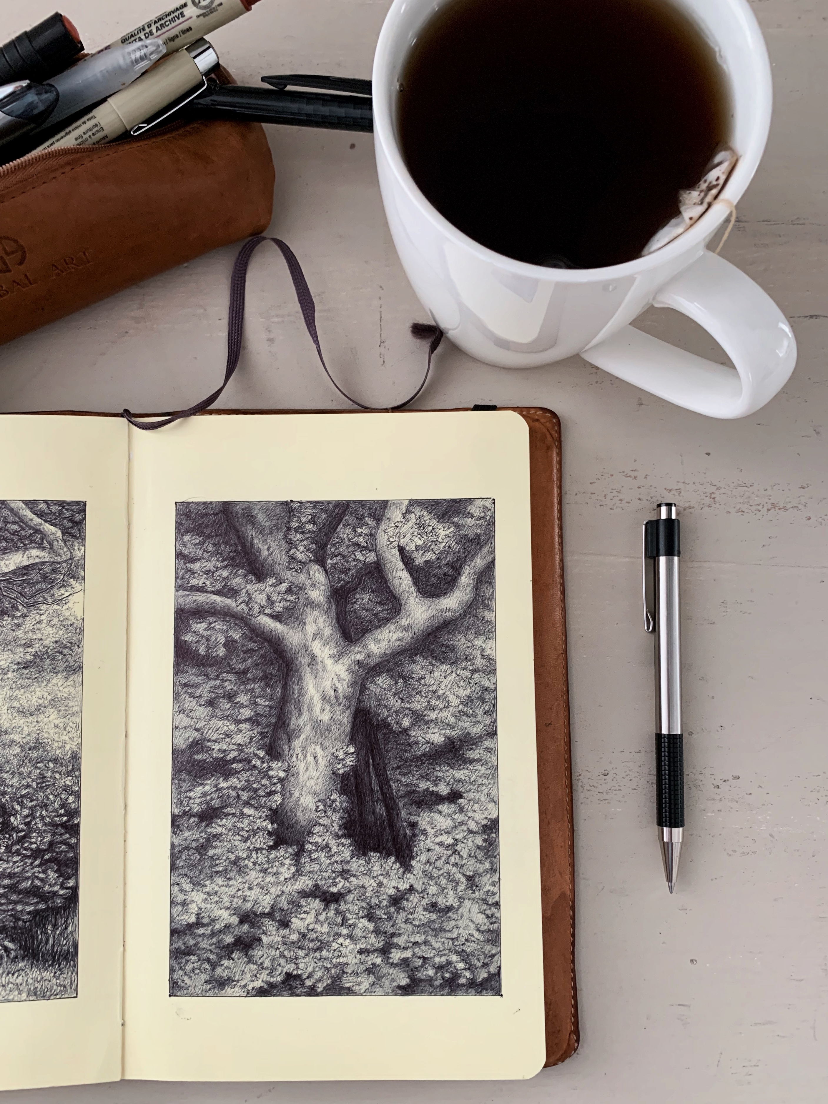 The Open Landscape: Atmosphere and Light with Ballpoint Pen