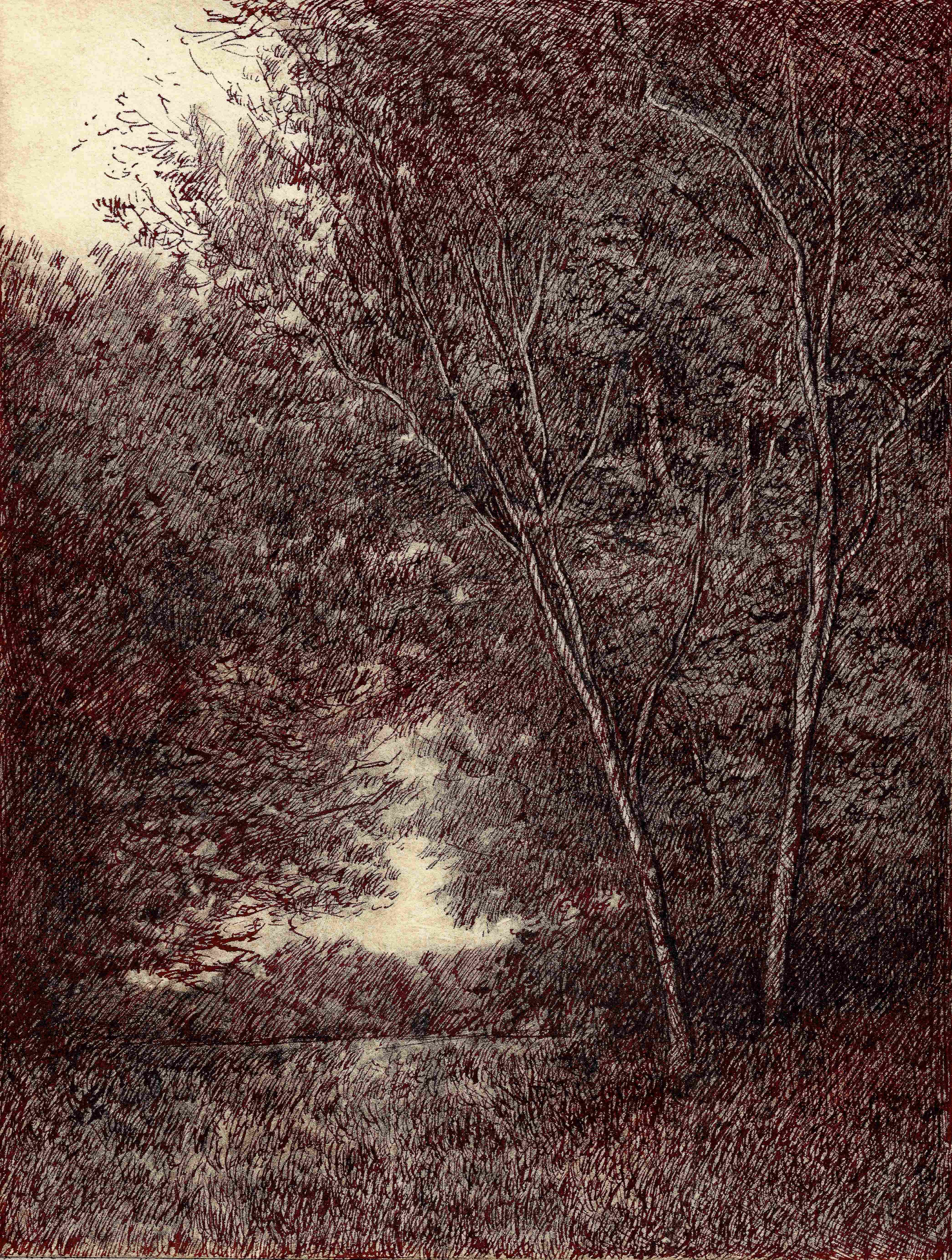 Beyond the Trees by Luis Colan