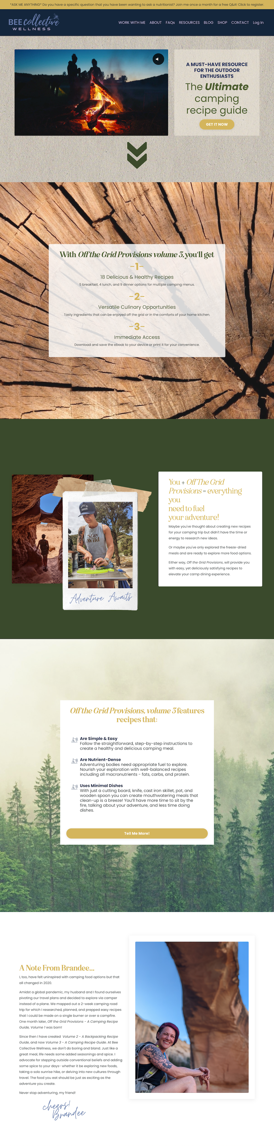 Aimee Sales page example one