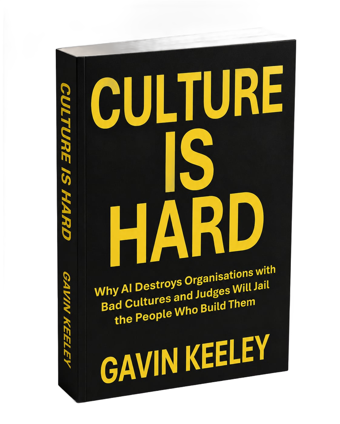 Culture is Hard book cover
