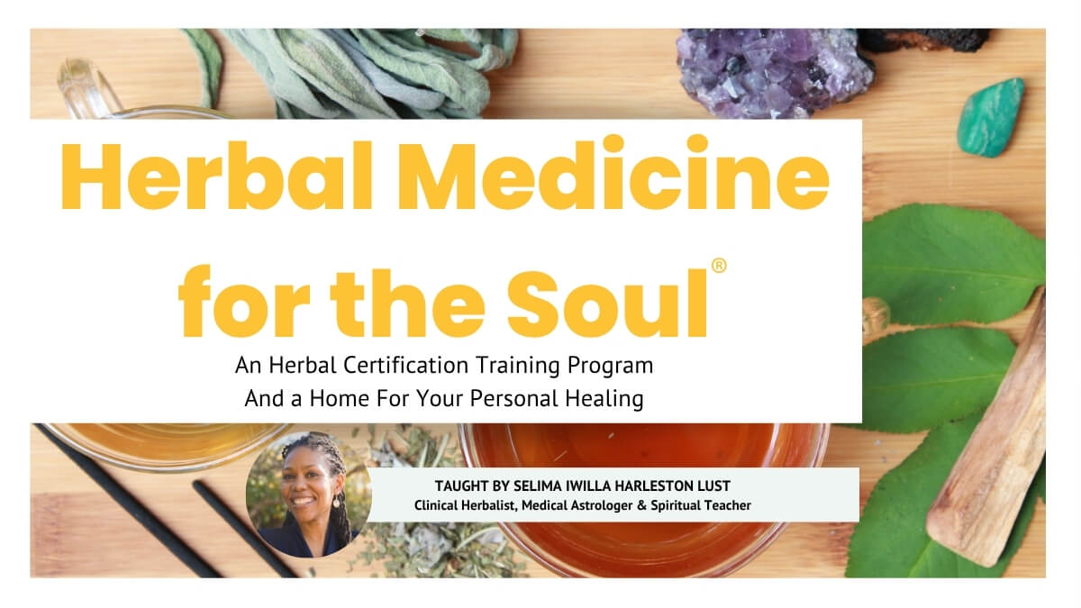 Herbal Medicine for the Soul mentorship and certification