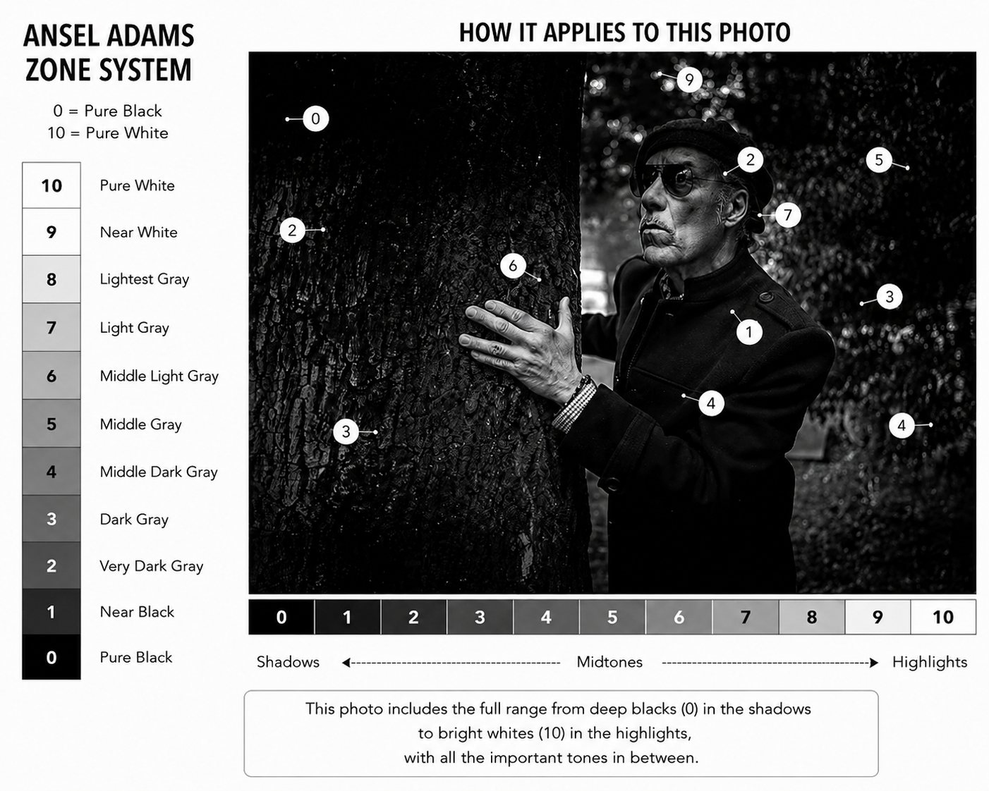 The Ansel Adams Zone System, from 0 (pure black) to 10 (pure white), mapped onto a real portrait