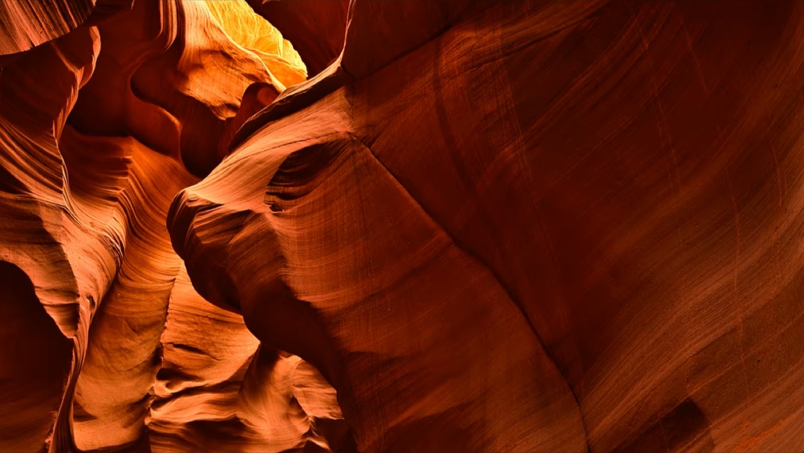 The Buffalo formation after the Light Depth snoot effect, a tight directional beam of light from above