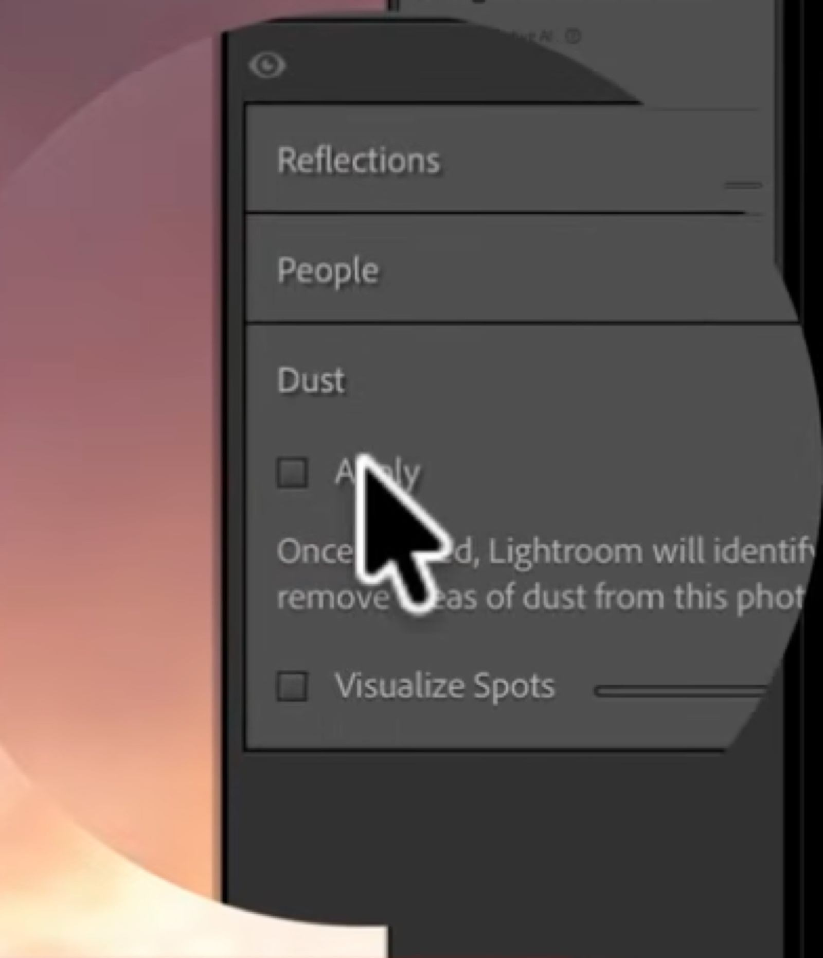 Lightroom's Reflections, People, and Dust distraction removal tools