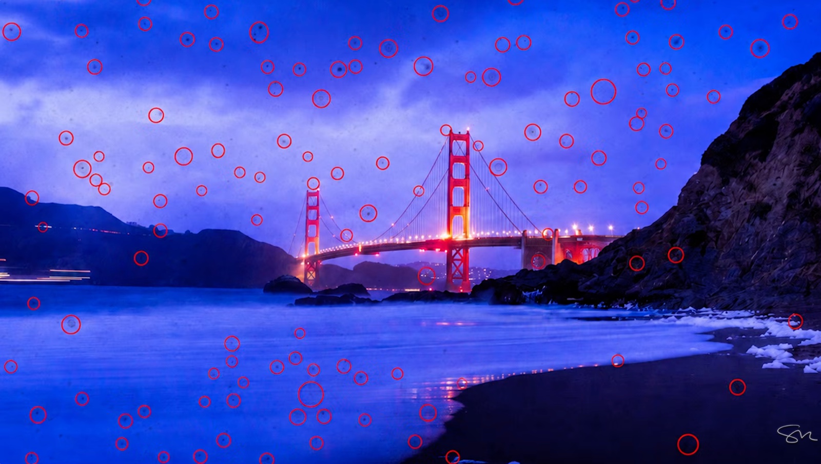 Every dust spot Lightroom detected on this Golden Gate Bridge photo, circled in red via Visualize Spots