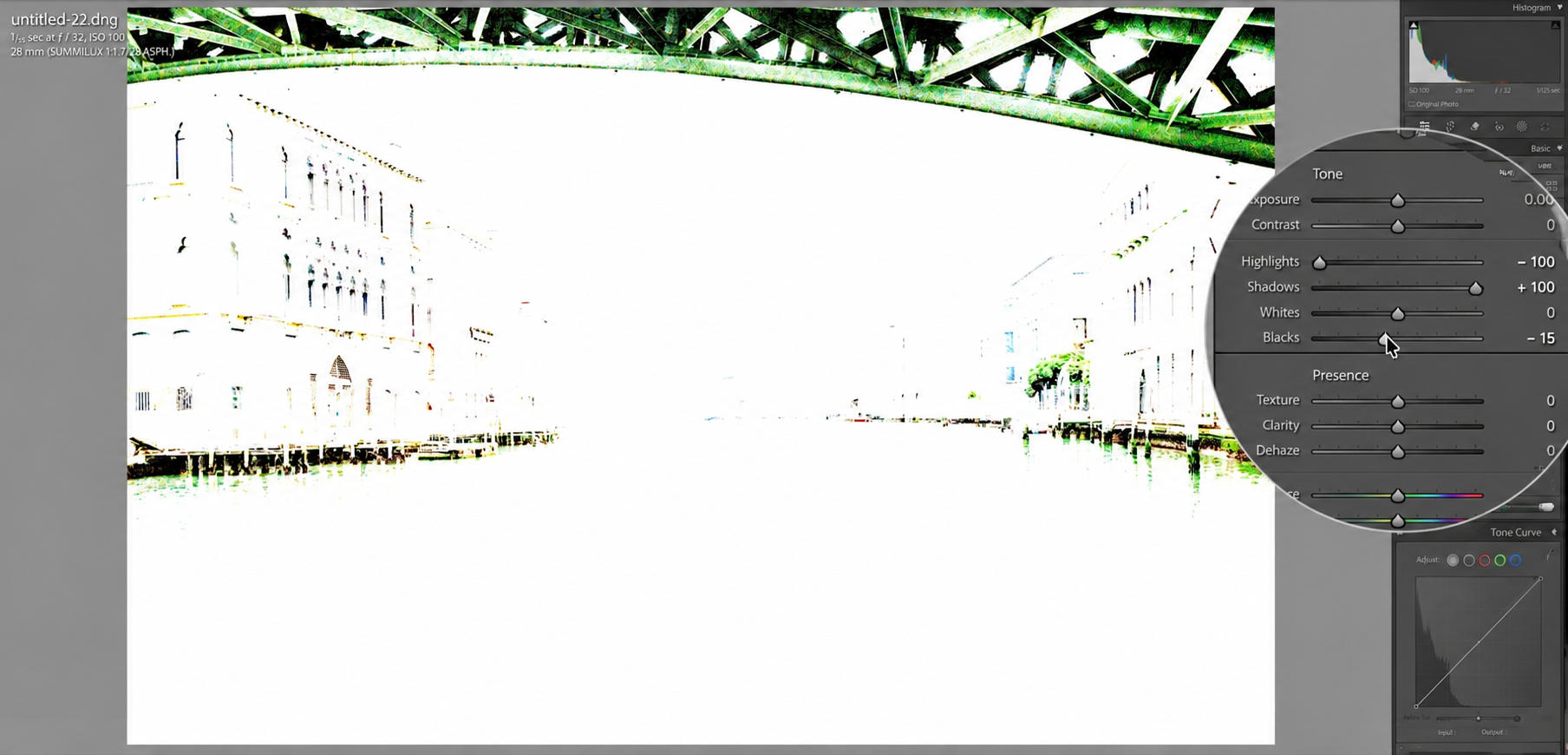 Holding Option and crushing the black point on the Venice file, the clipping overlay showing exactly which pixels are pure black