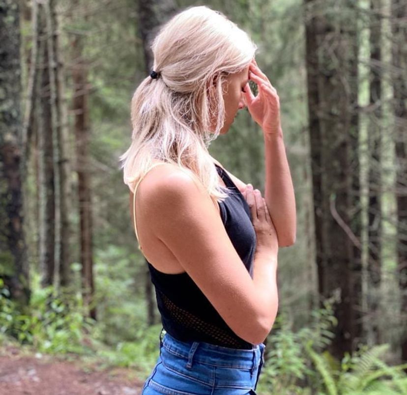 Vaida