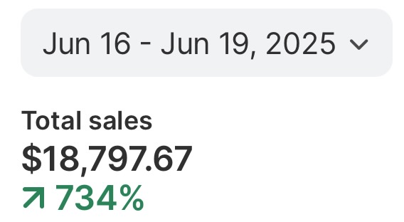 Student result: $18,797.67 total sales in four days, up 734%