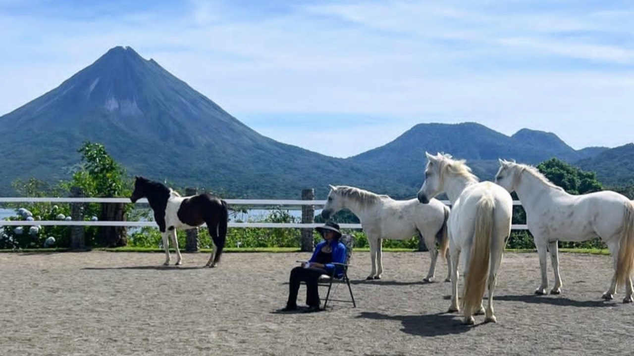 Student sitting with horses