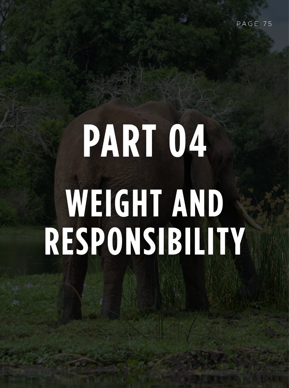 Part 04 — Weight and Responsibility