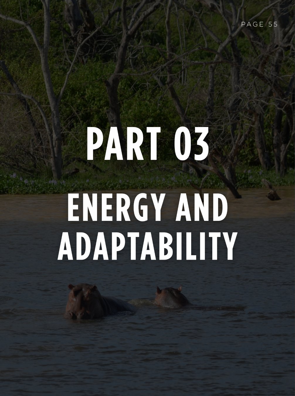 Part 03 — Energy and Adaptability