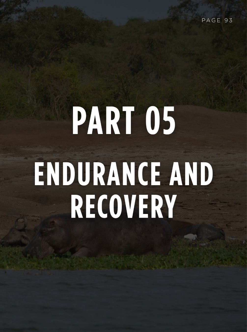 Part 05 — Endurance and Recovery
