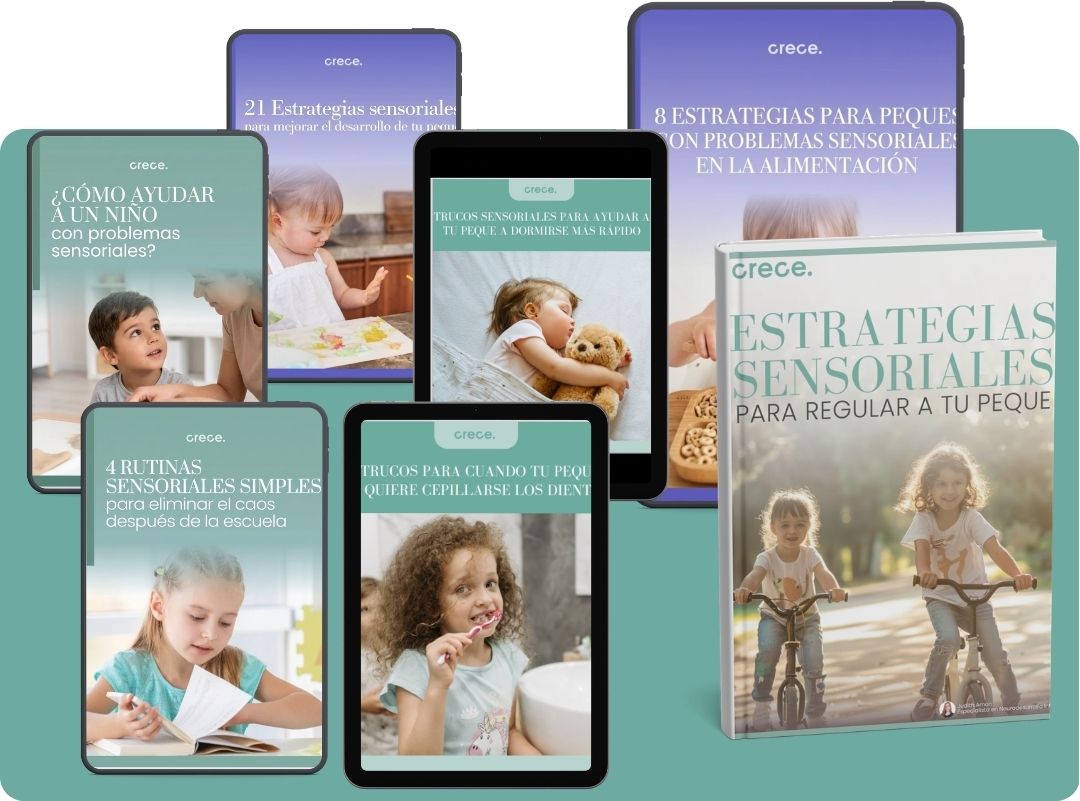 Integración sensorial