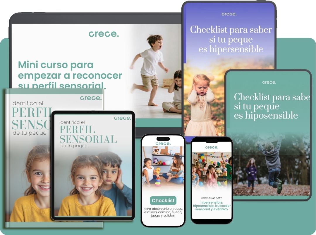 Integración sensorial