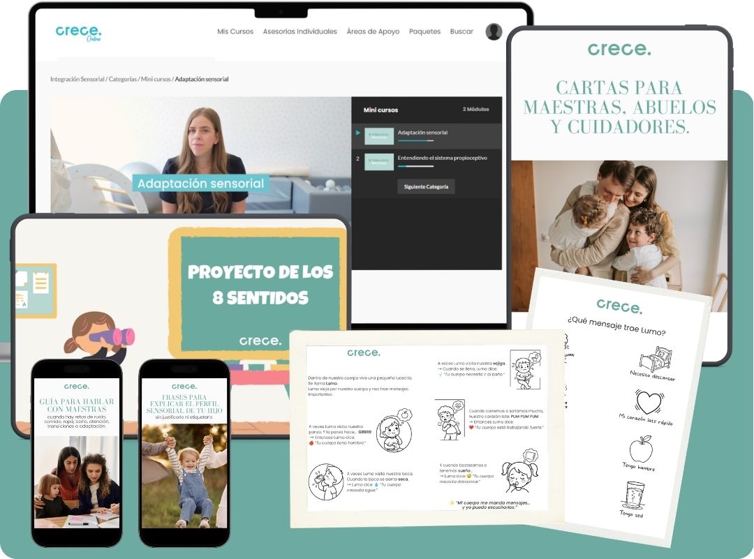 Integración sensorial